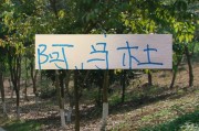开云官网-亚冠别受伤才是王道！ 想想去年申花兽腰阿马杜 太可惜了
